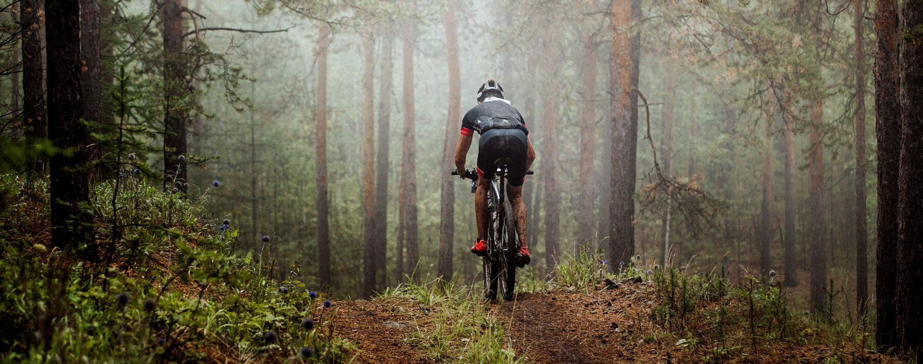 16765398-mountainbiker-rides-a-bicycle-along-a-forest-trail